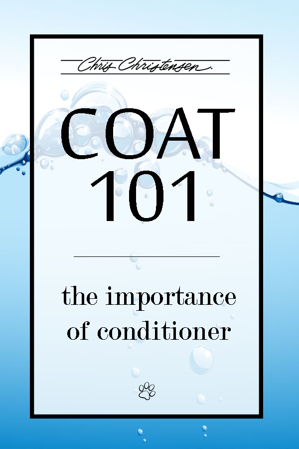 COAT101.conditioner