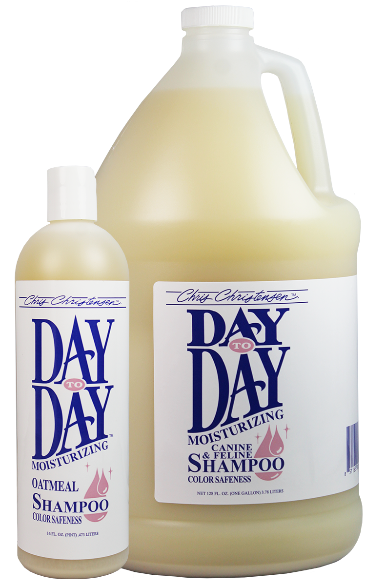 Day-to-Day-Shampoo-2